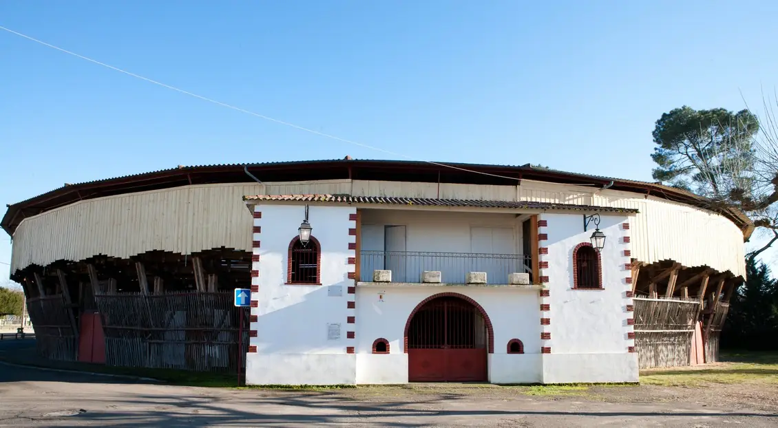 Visite commentée de la Monumental des Pins