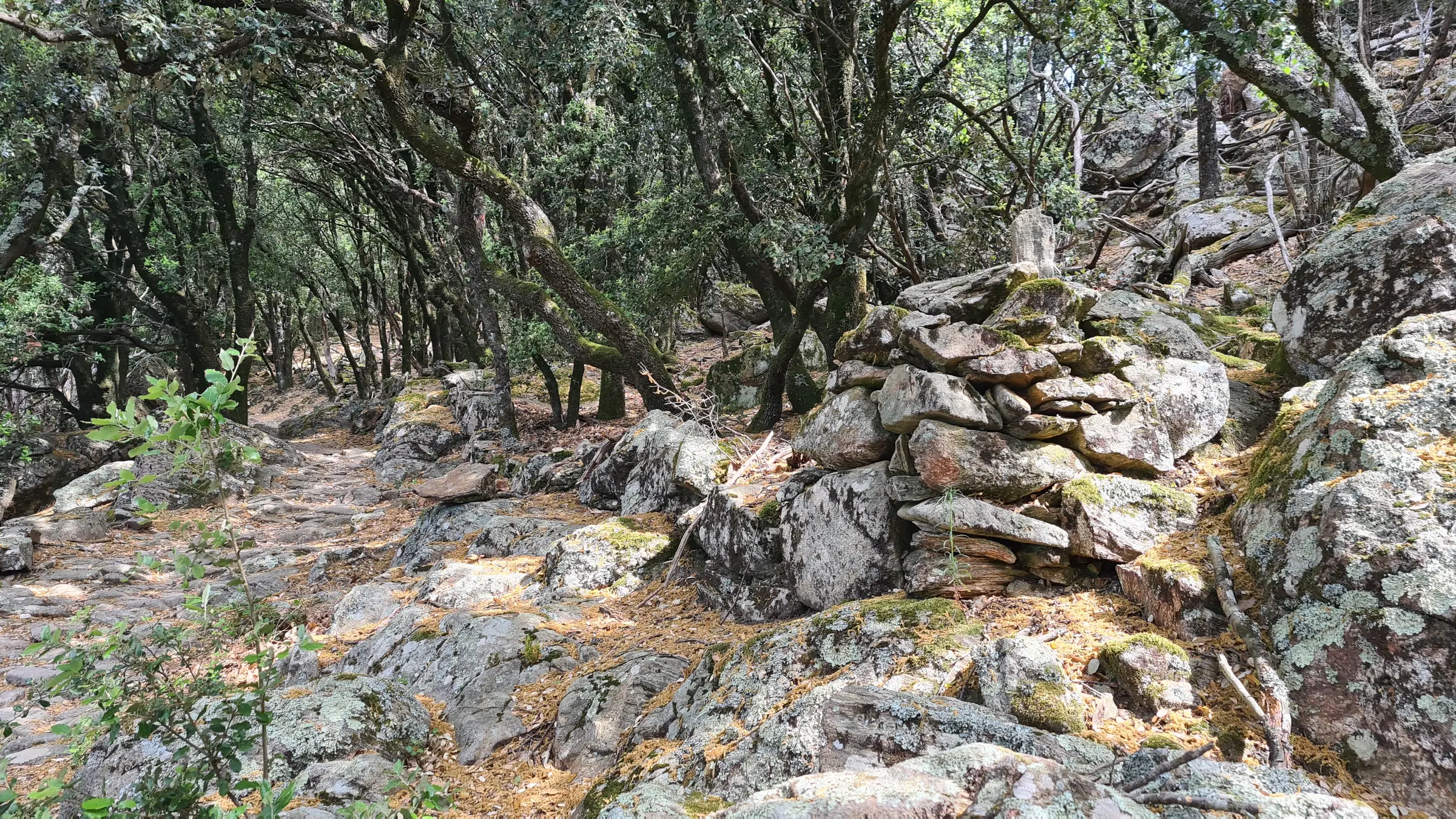 RANDONNÉE AU PIED DES GORGES D’HÉRIC