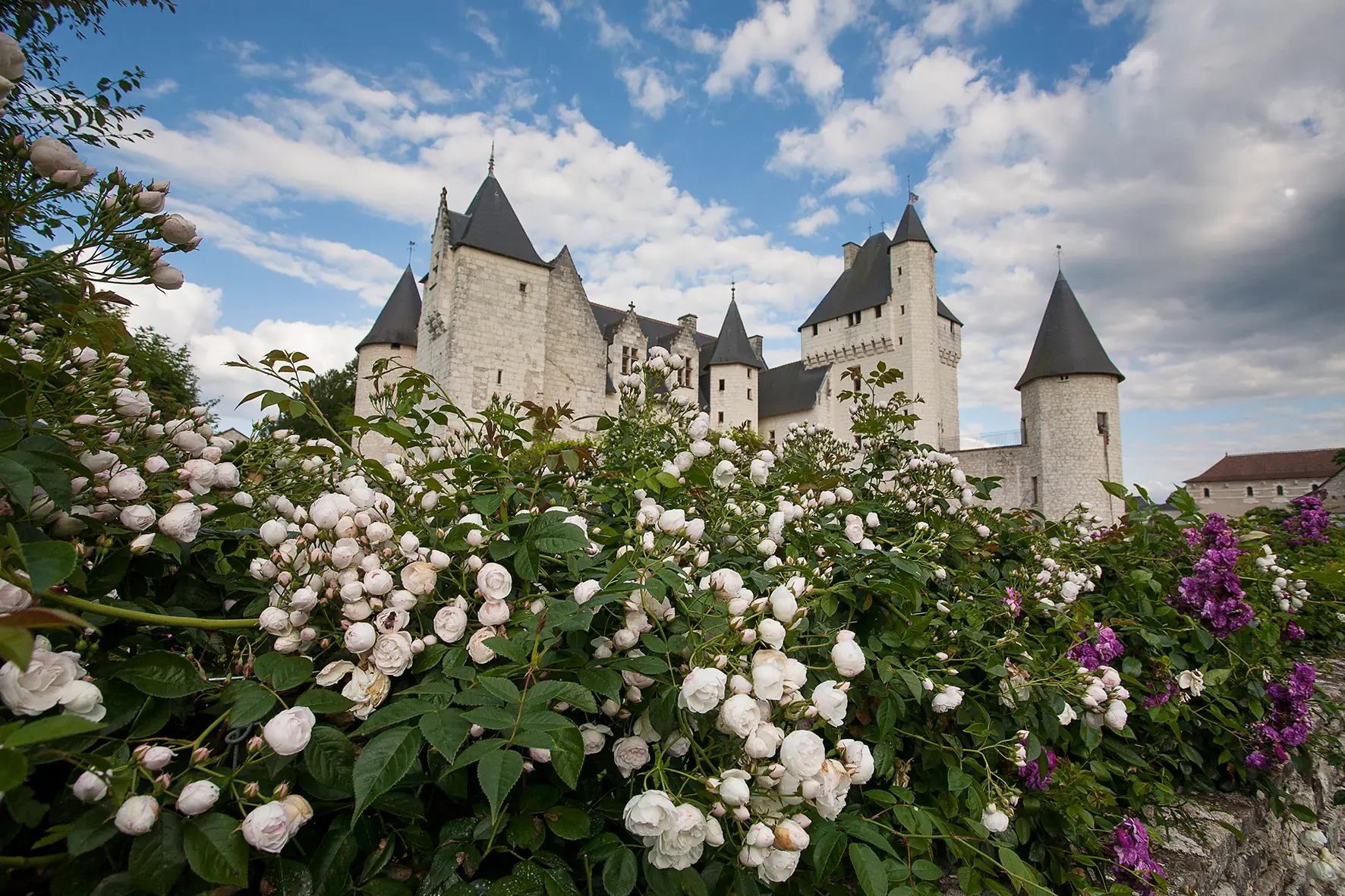 Fête des Roses