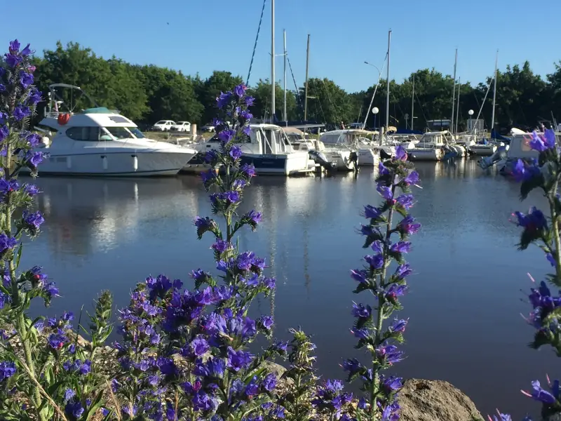 Port de plaisance du Teich