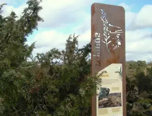 Sortie nature sur la lande des Pierres du Mas