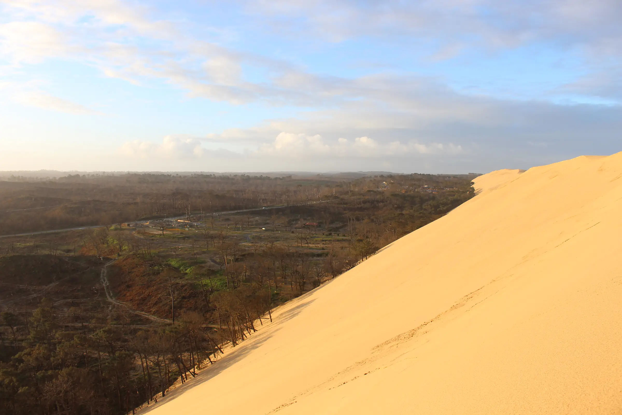 Balade nature : La migration des oiseaux à la Dune du Pilat