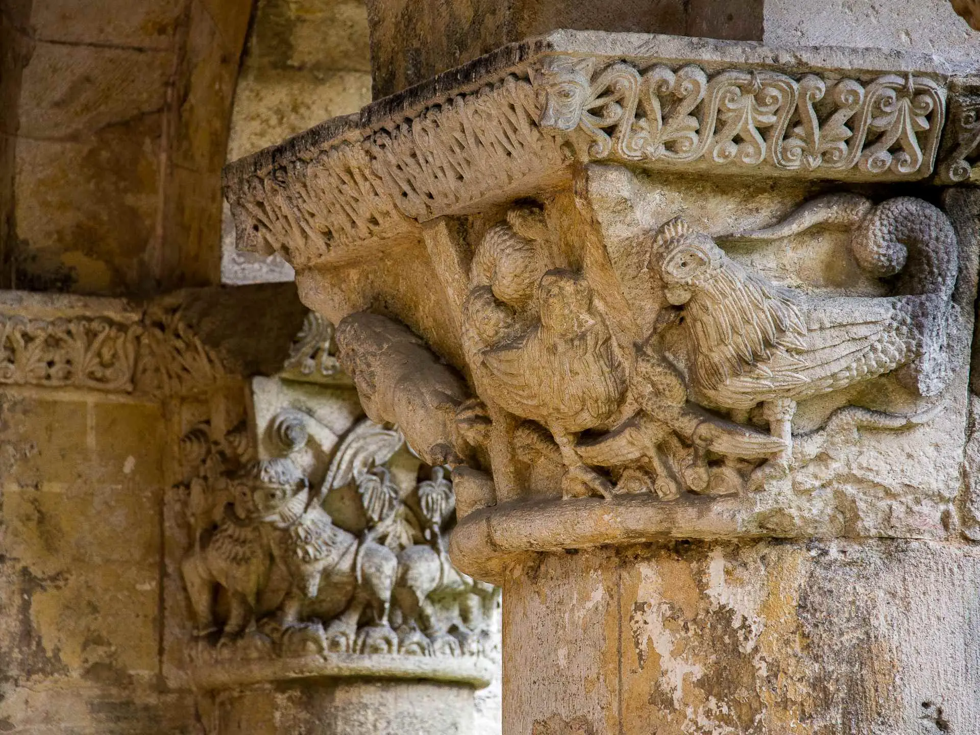 Visite commentée de l’abbaye : Le bestiaire médiéval