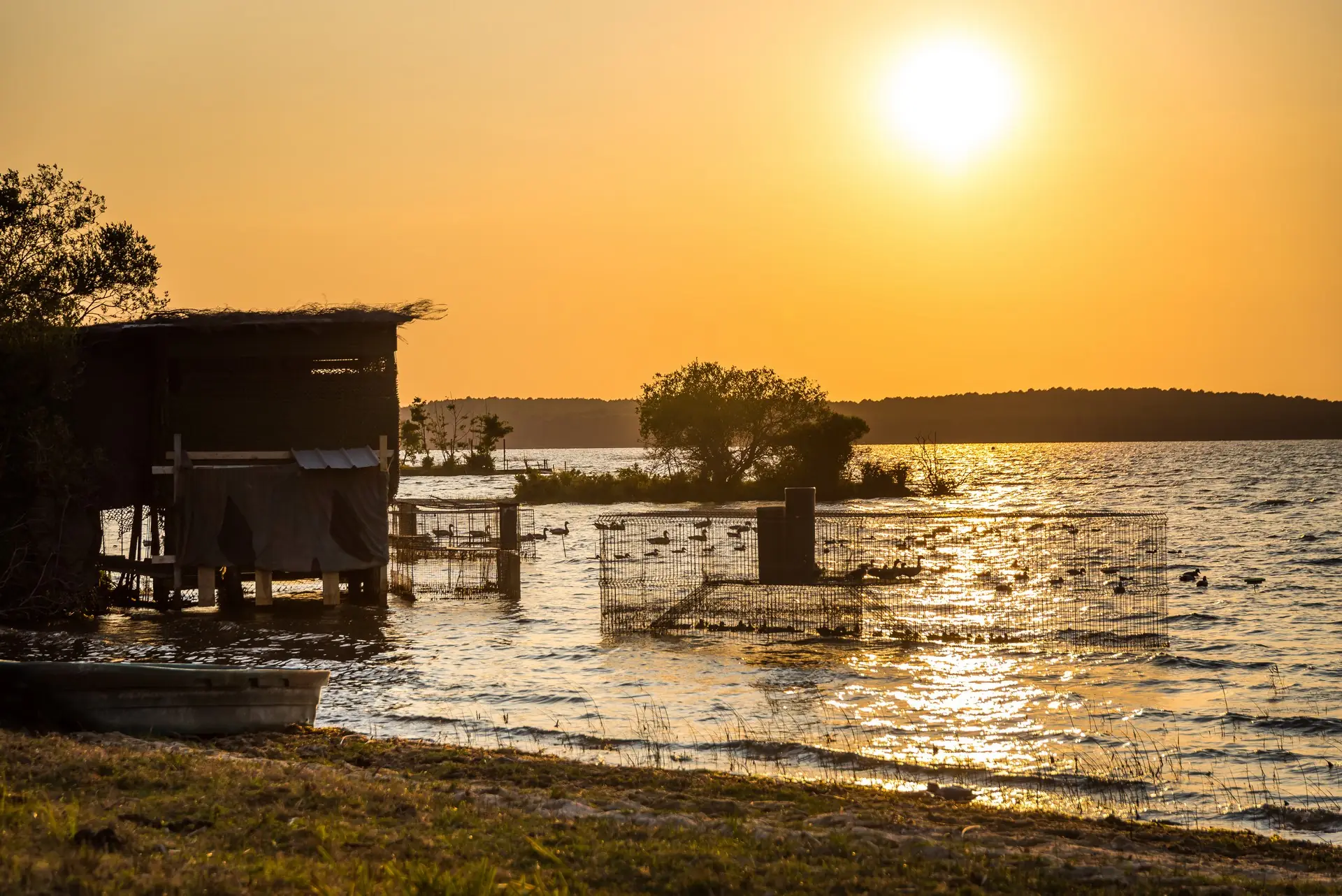 Découverte des prairies au bord du lac de Sanguinet