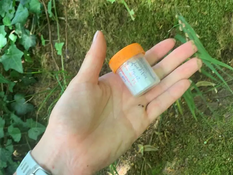 Géocaching : à la découverte des trésors de la vallée