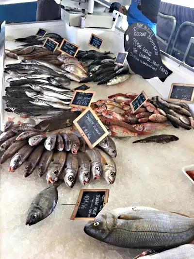Le Gouf de Capbreton