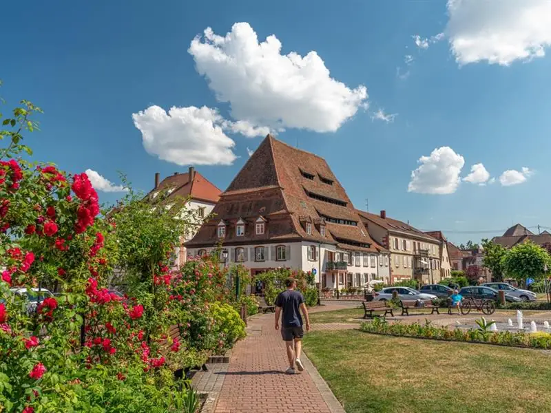 Exposition : À la découverte de l'Alsace Verte
