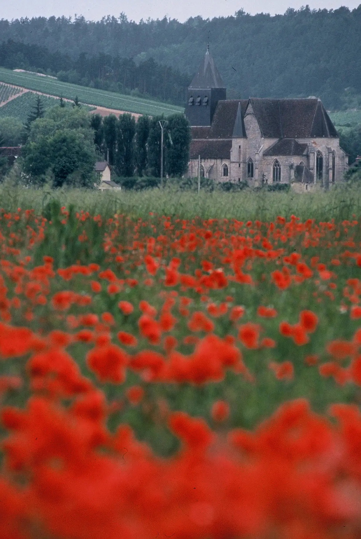 Eglise Saint-Denis