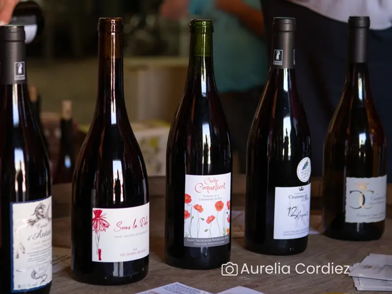 Dégustation des cuvées du domaine