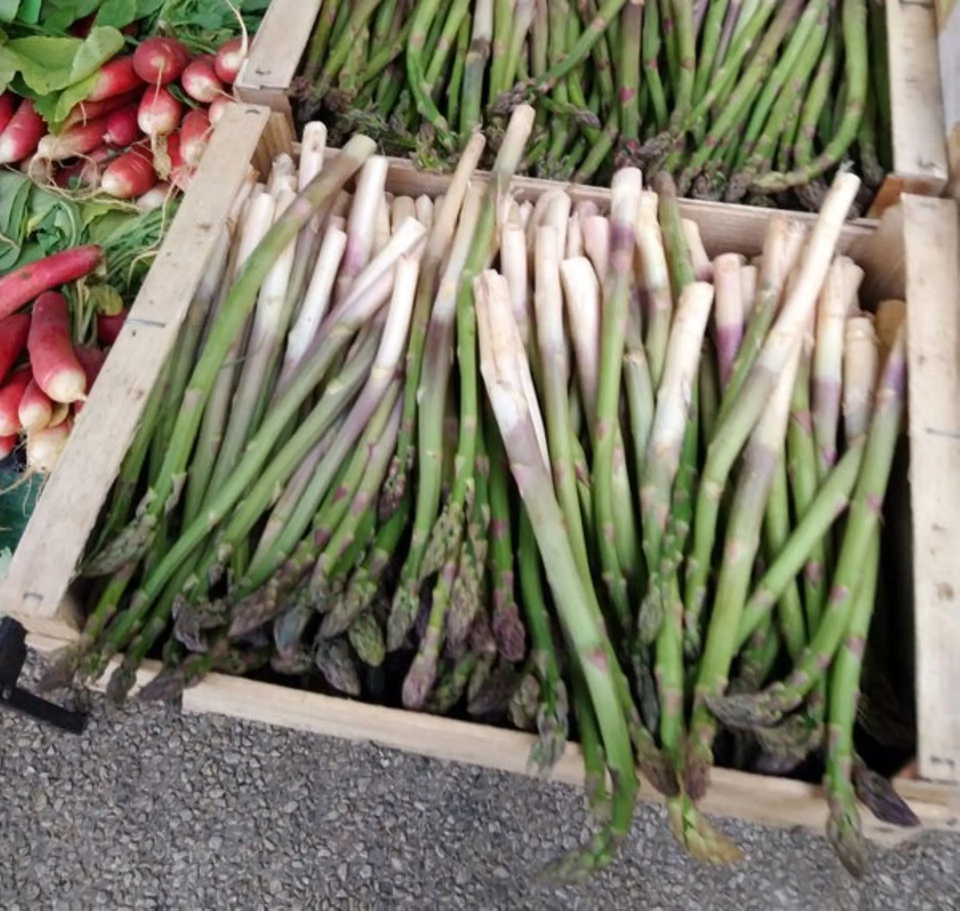 Marché hebdomadaire de Tarascon