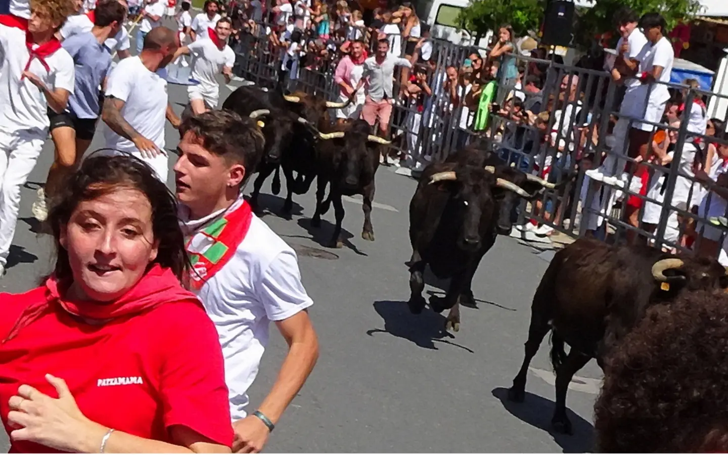 Fêtes du village