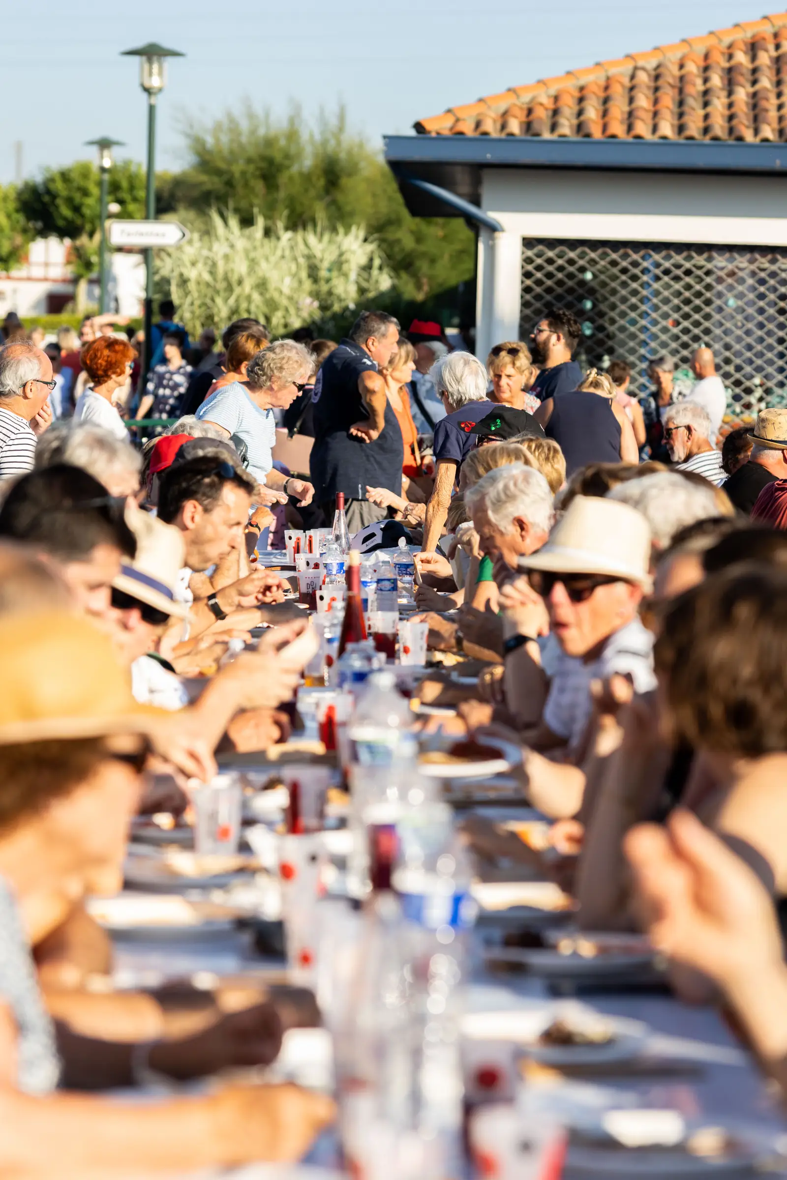 Fête du thon