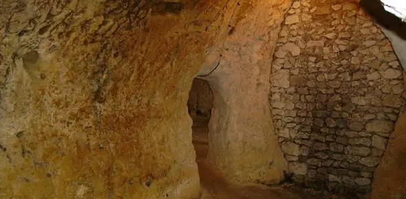 Habitat Refuge Cavernicole Troglodytique