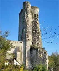 Site castral du Haut Clairvaux