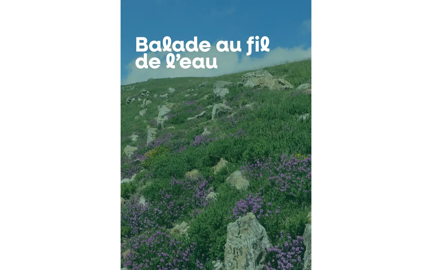 Balade au fil de l'eau
