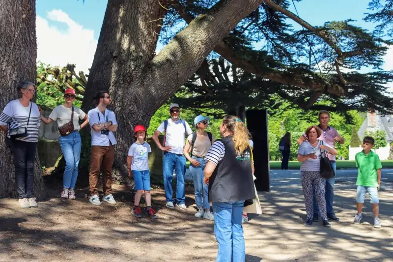 Visite guidée du Château de Chenonceau