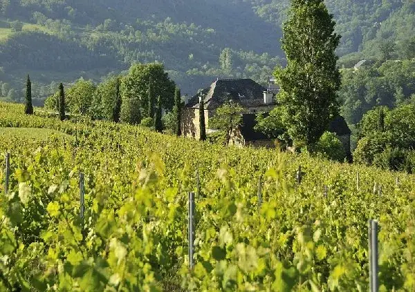Domaine du Mioula