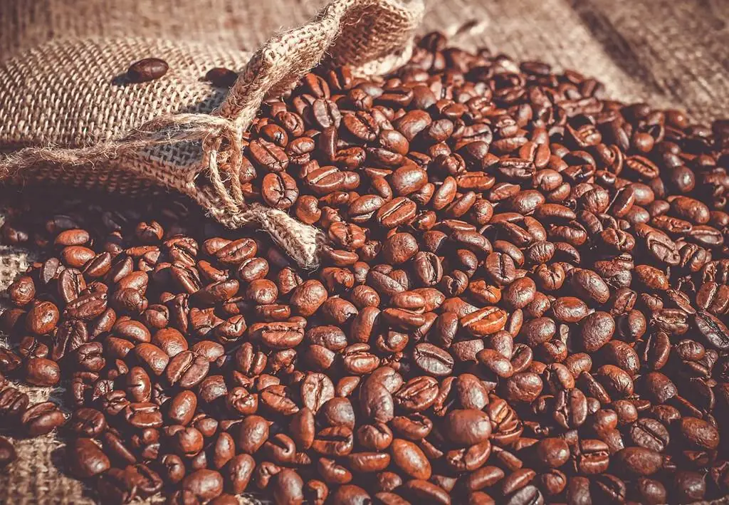 La fête du café