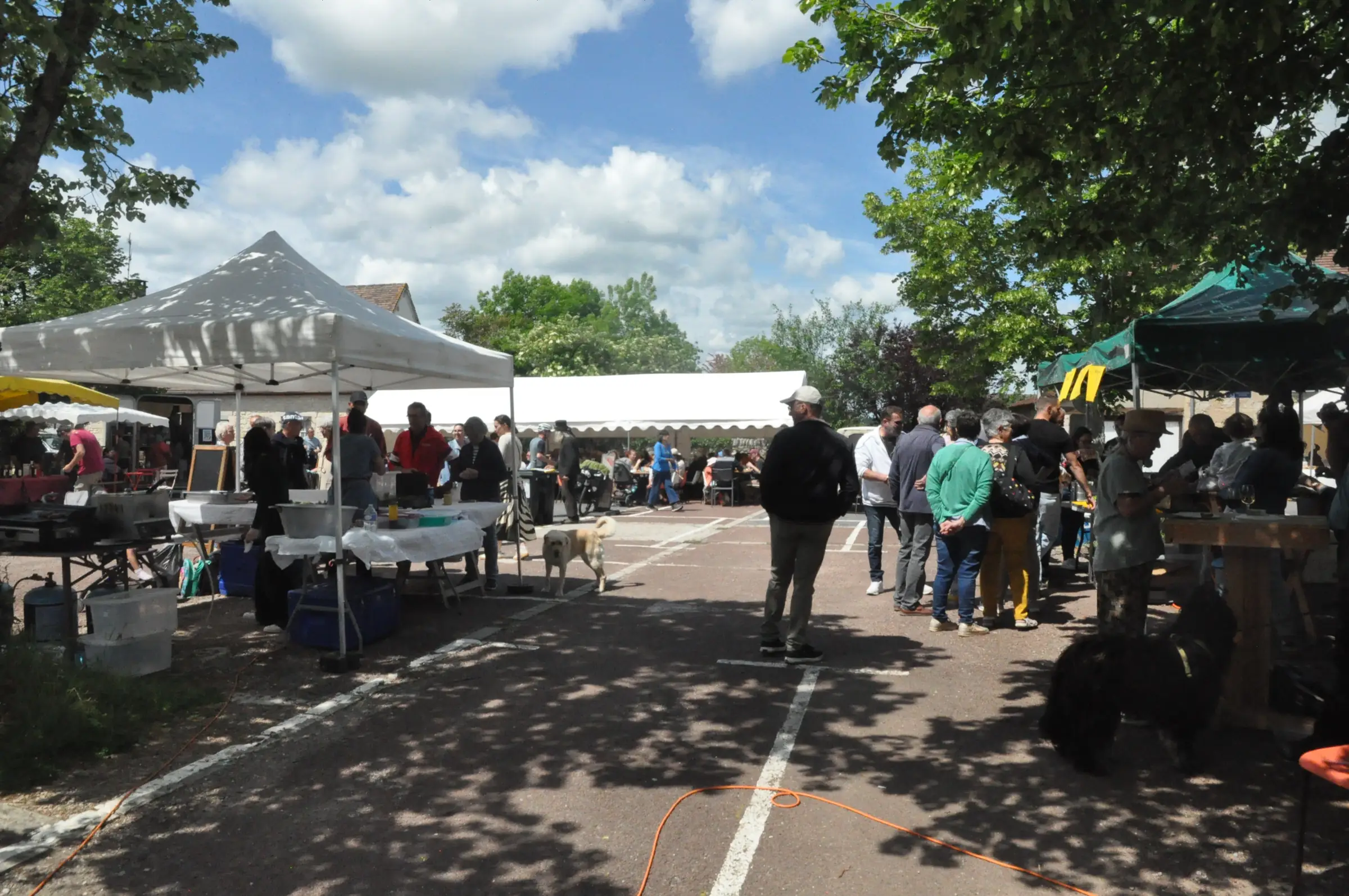 Foire aux plantes et aux fleurs