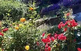 les jardins des enclos - Promenade littéraire et musicale