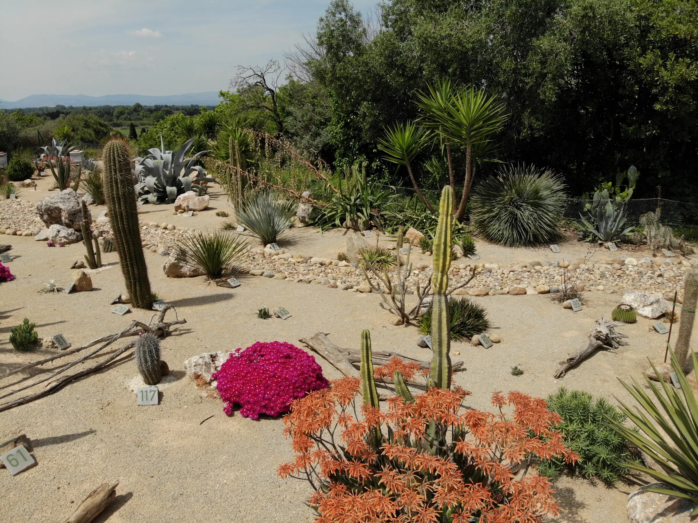 ARBORETUM MAS ROUSSILLON