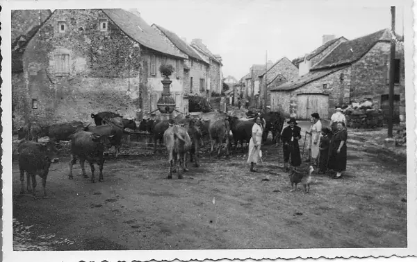 Visite libre de Sévérac l'Église