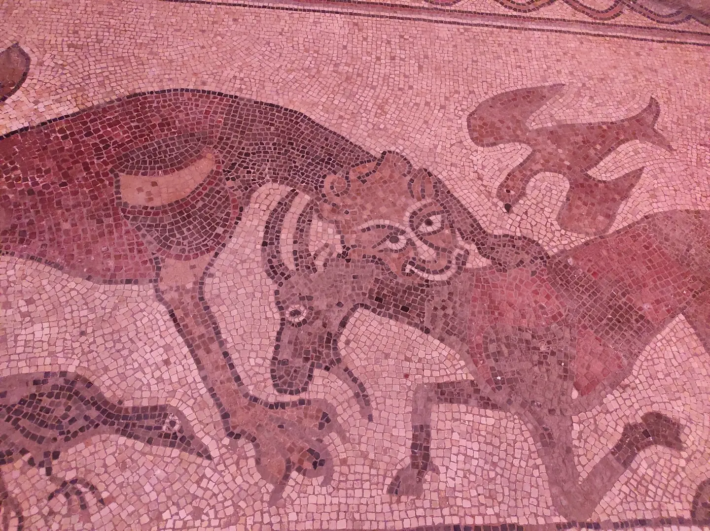 Mosaïque de la Cathédrale de Lescar