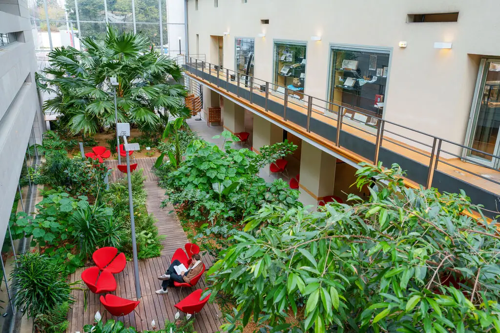 Bibliothèque Francophone Multimédia