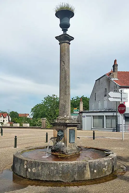 Fontaine à colonne de Vaux-sous-Aubigny