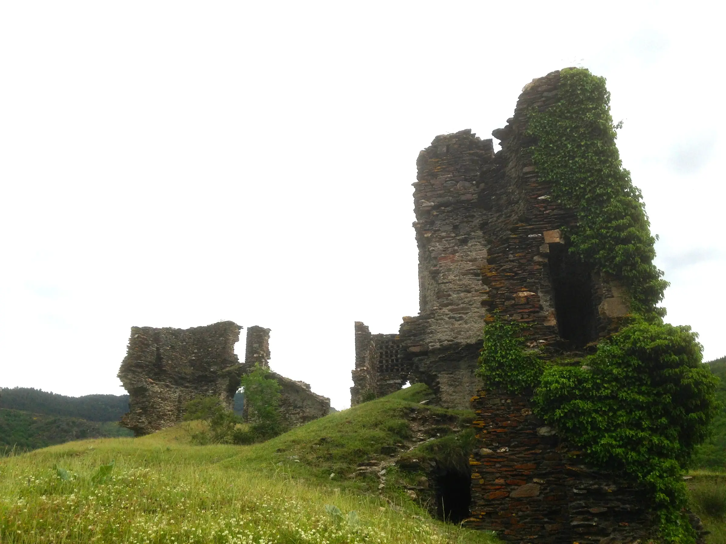 CHÂTEAU DE SAINT-JULIEN-D'ARPAON
