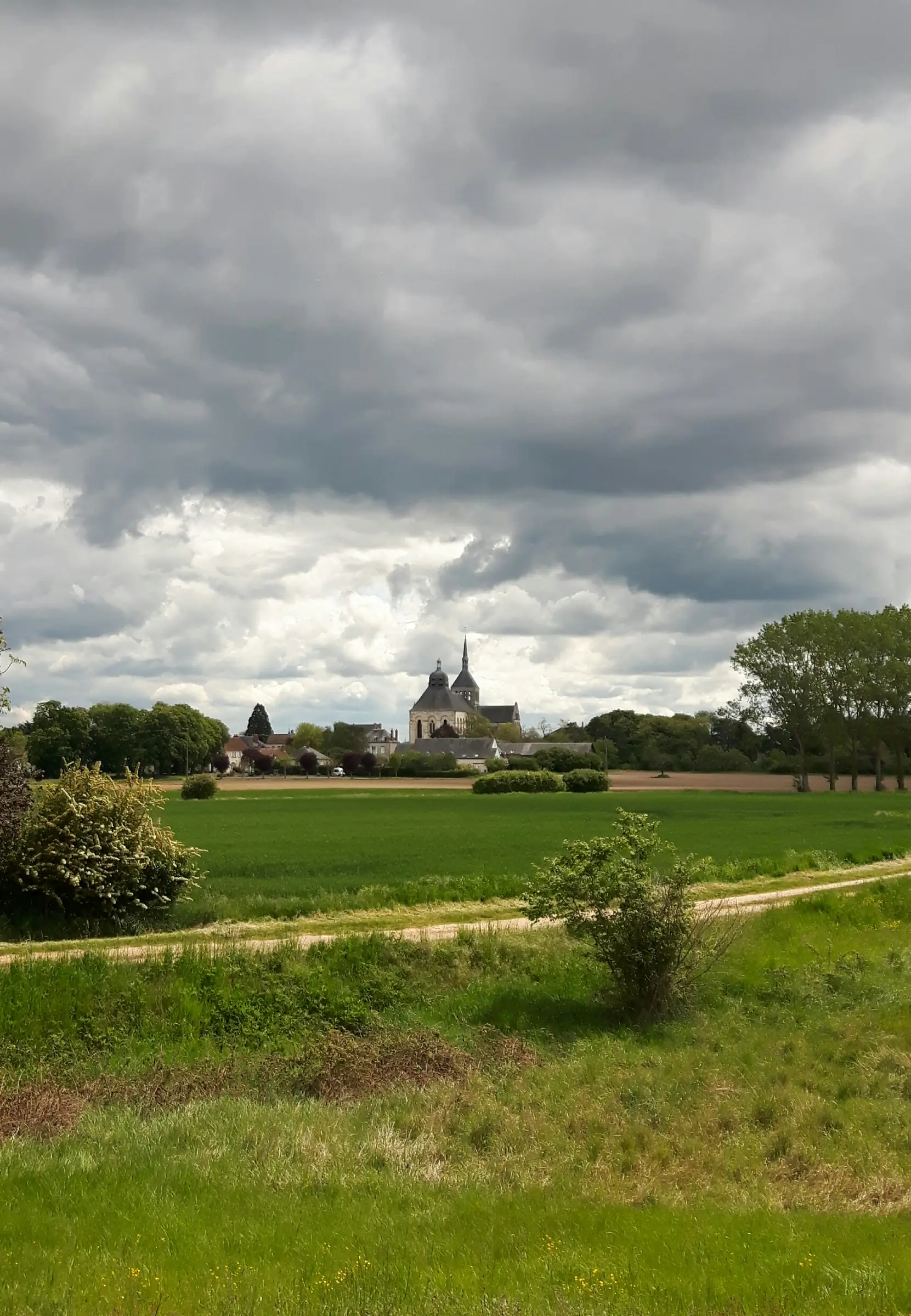 Saint-Benoît-sur-Loire