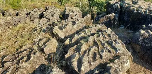 Sortie nature sur la lande des Pierres du Mas