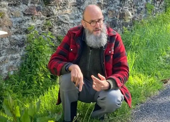 Tours de Merle - Balade gourmande: A la découverte des plantes sauvages comestibles