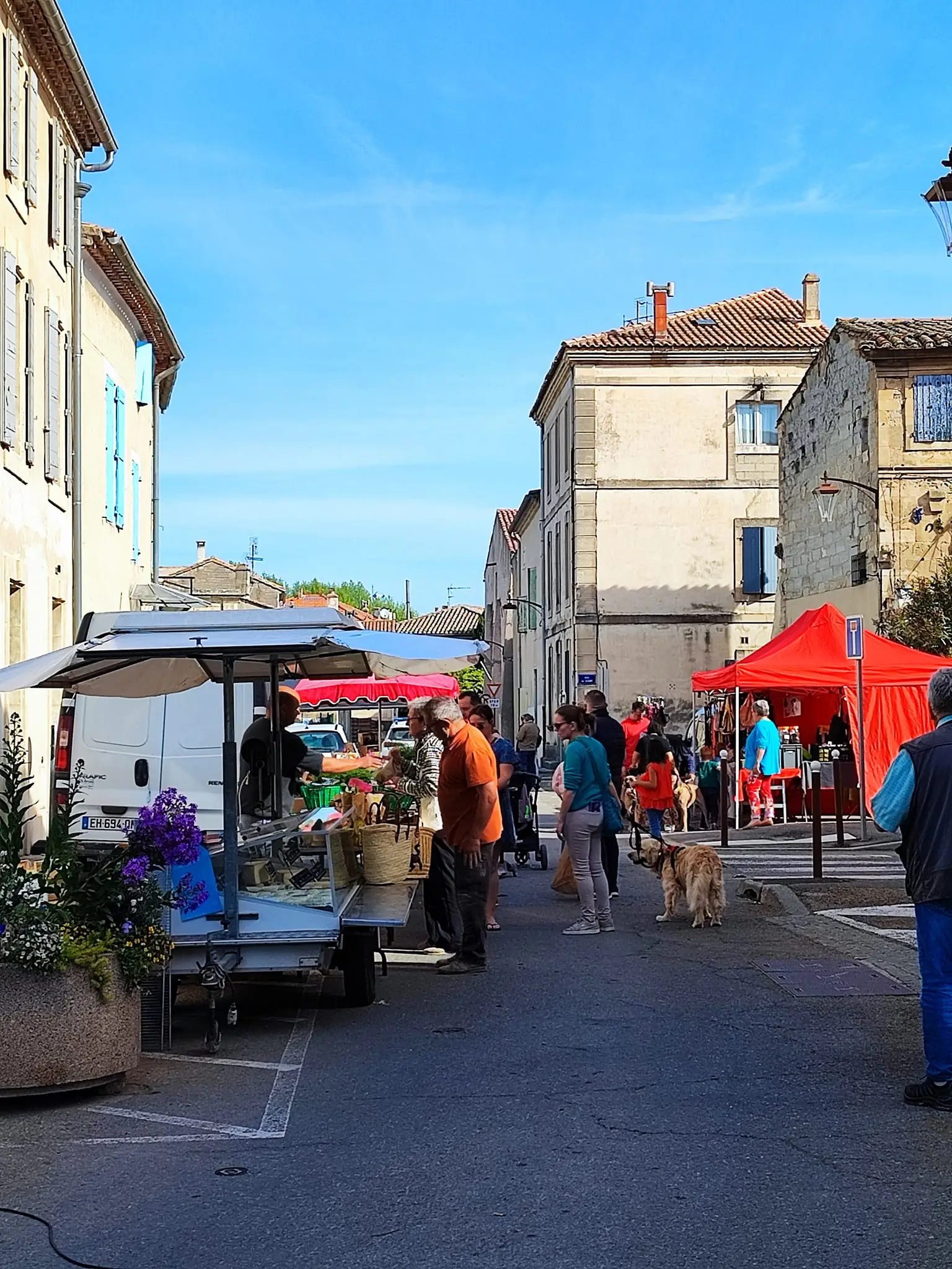 Marché Maillane