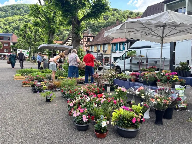 Marché hebdomadaire