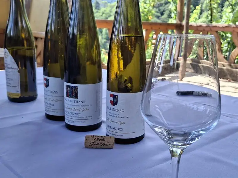 Balade sensorielle dans le vignoble du Rangen : mystères dans le verre !