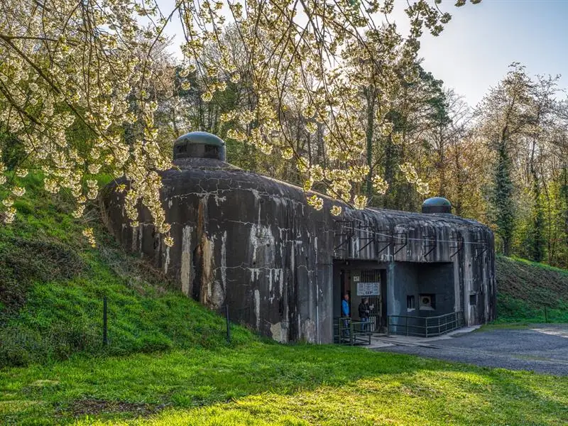 Les peintres et le Fort de Schœnenbourg