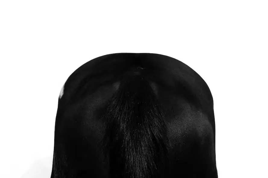 Le Regard du Monde — 200 ans, 200 photographies. ( Avec l'exposition personnelle de ZHANG Gengqi )