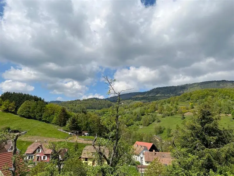 Maisonsgoutte