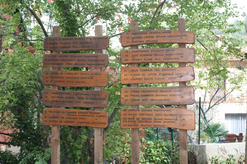 VILLAGE ARBORETUM