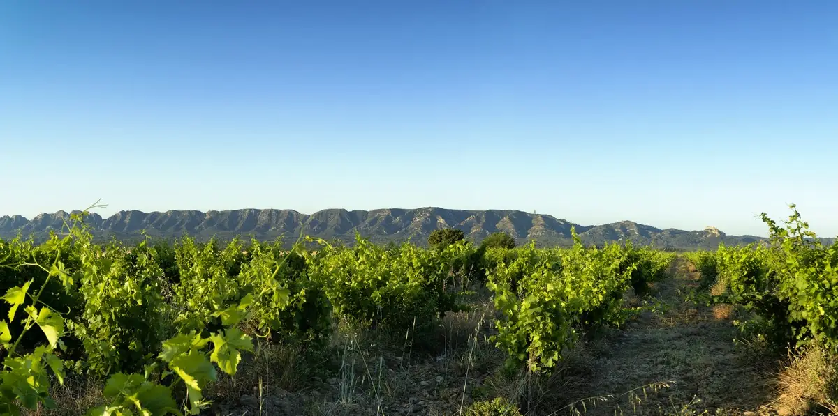 Domaine de Lagoy