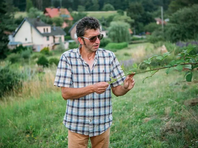 Visite guidée du jardin écologique Hymenoptera