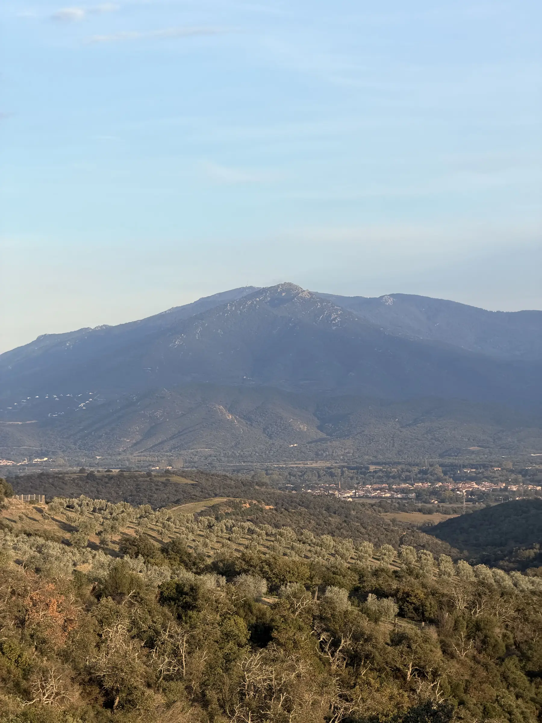 *IMMERSION AU CŒUR DE L'OLIVERAIE : VISITE ACCOMPAGNÉE DU MAS PY ET DÉGUSTATION D'HUILE D'OLIVE D'EXCEPTION