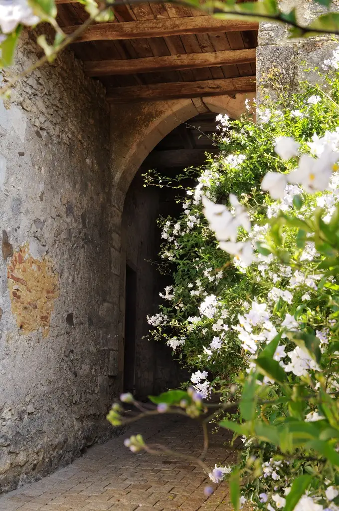 Fortifications médiévales