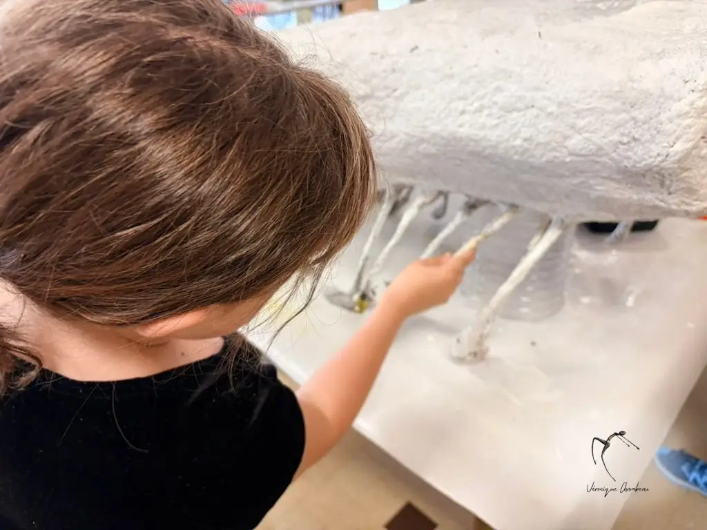 Stage d'été : upcycling en papier mâché