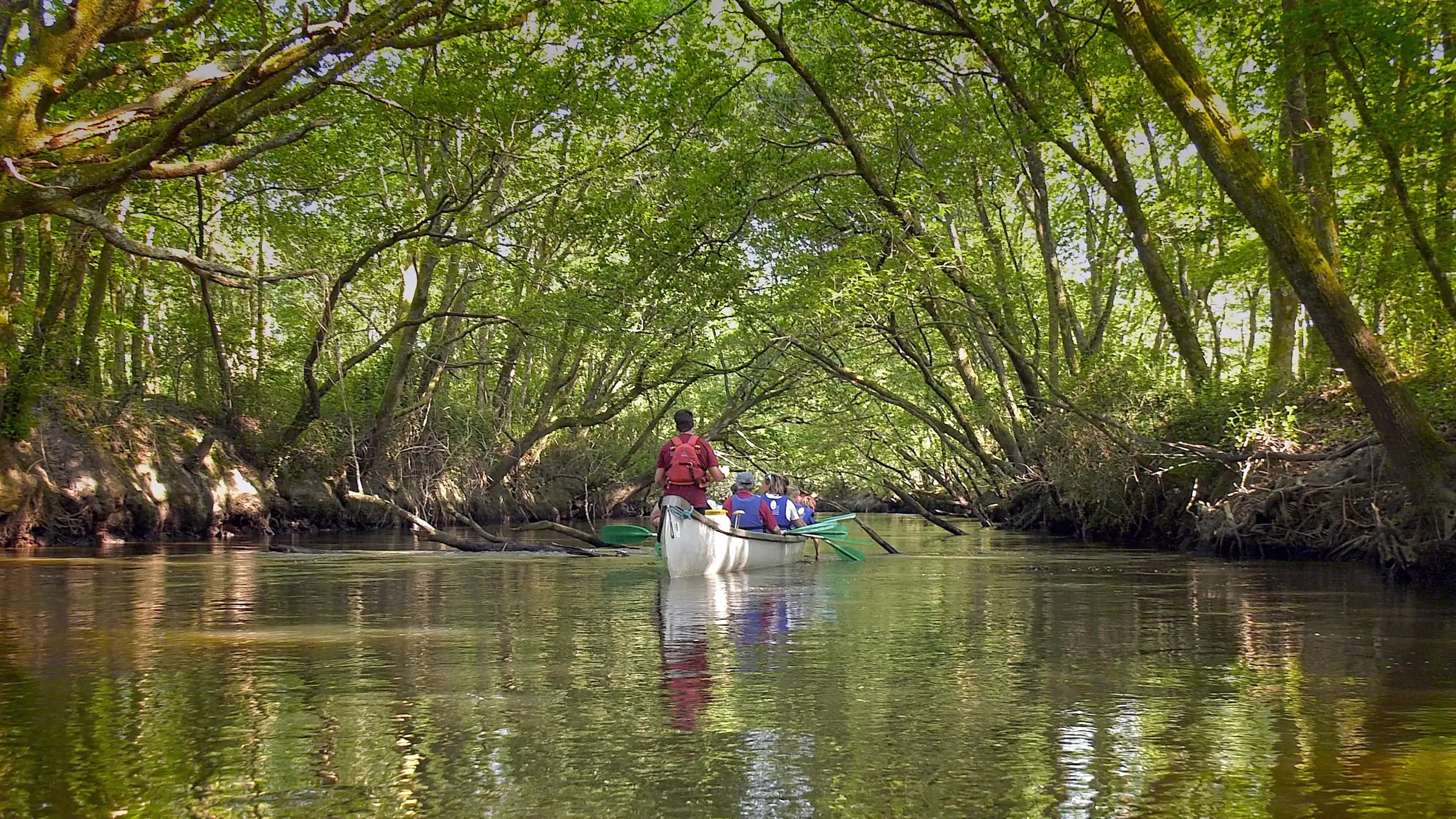 Visite libre de la réserve ornithologique et canoë collectif