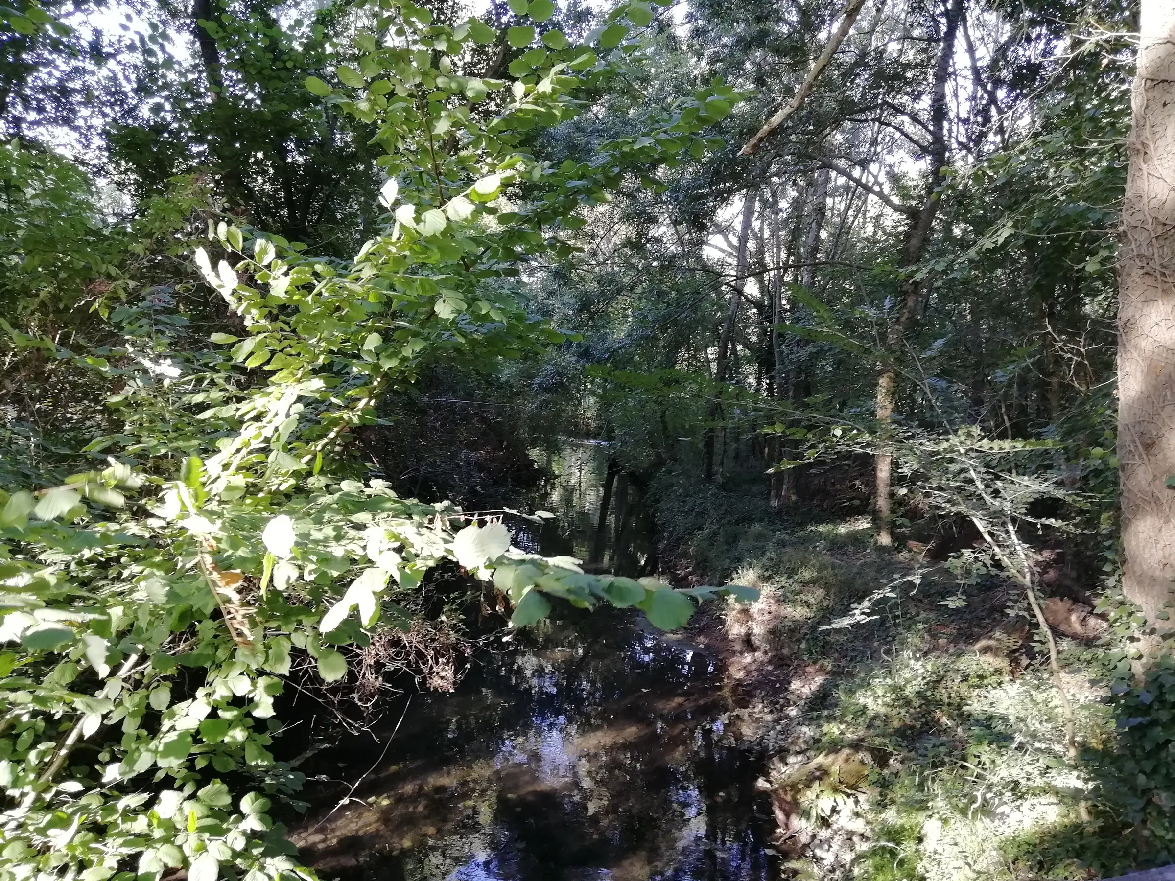Tumulus du Puy Taillé