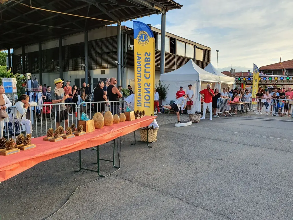 Championnat du monde de Lancer de pignes