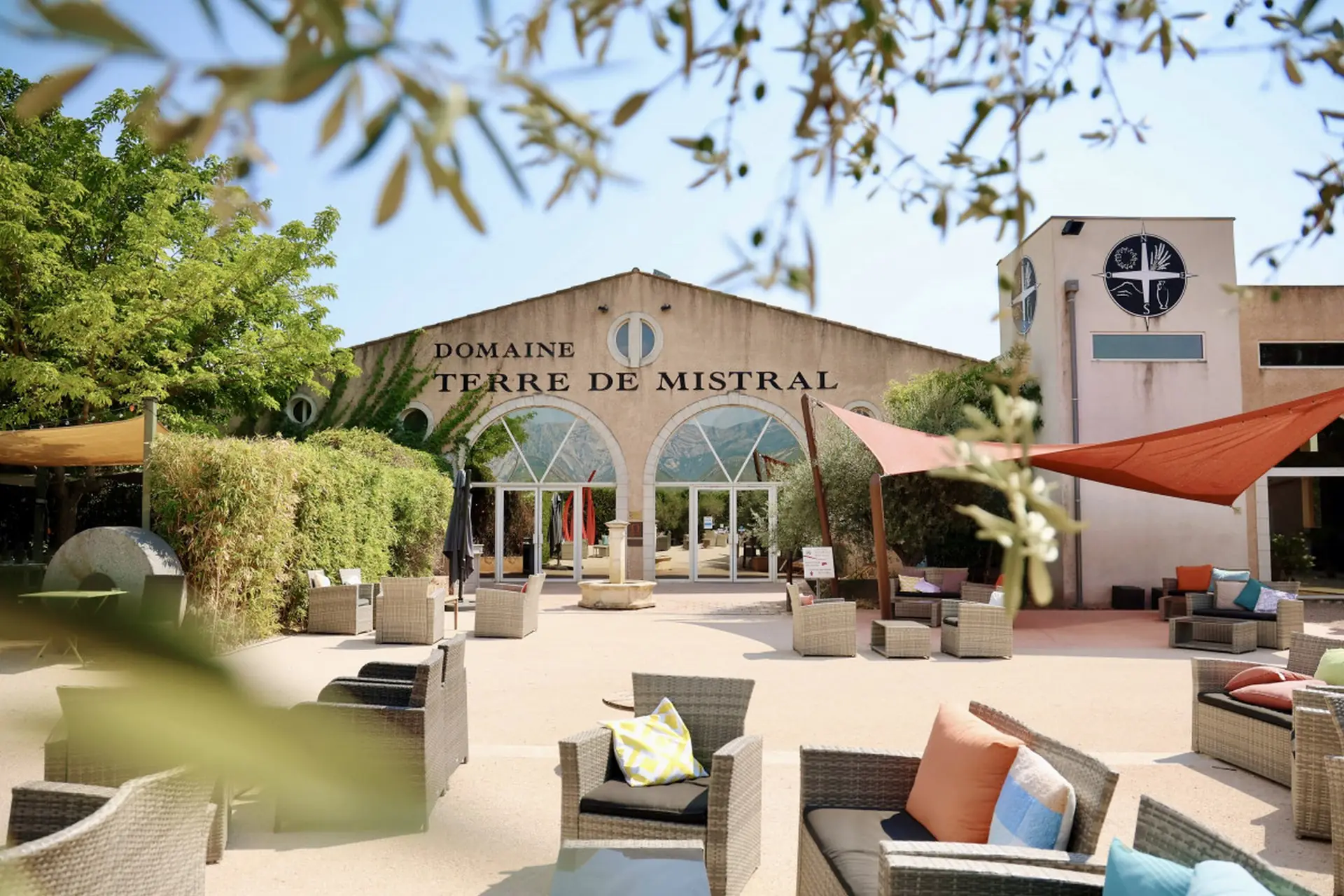 Commented visit and wine tasting of Terre de Mistral vineyards