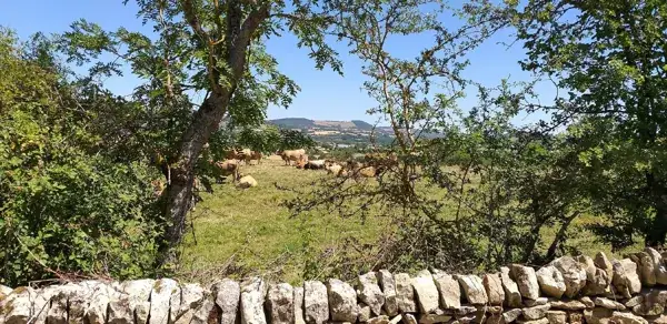 Le Clos des Légendes